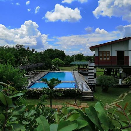 Eco Hotel Black & White - Anuradhapura Mihintale Exterior foto